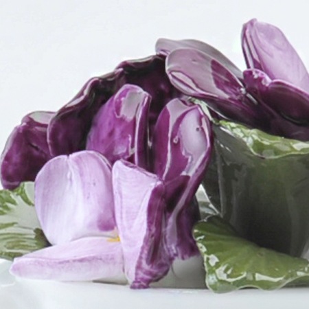 �ڥƥ��ե�����륳�쥯����󡡥Х�����å�