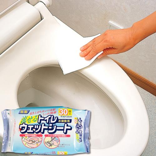 Moisteane プレミアムシート RS WS 8枚入り 500403_1.jpg