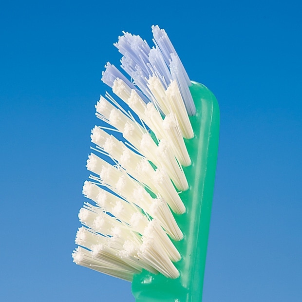 TKいろいろ使えるゴシゴシブラシ・2色組 |おそうじのことならアズマ