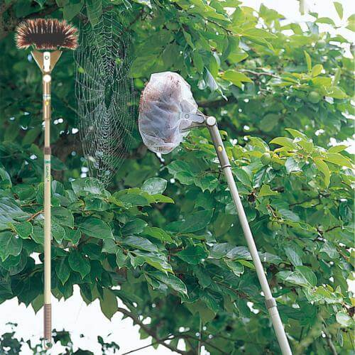 クモの巣取りFLL593 |おそうじのことならアズマ