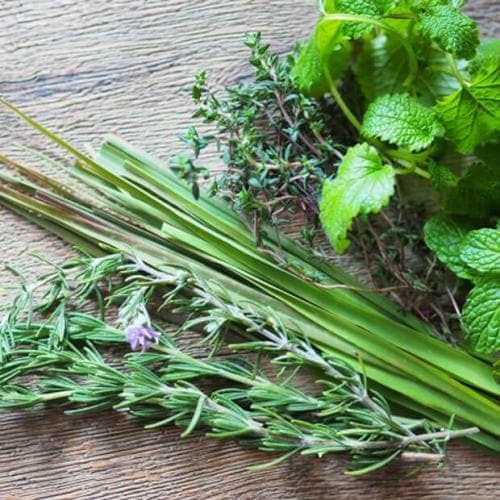 TK生ゴミバイオ消臭200g |おそうじのことならアズマ