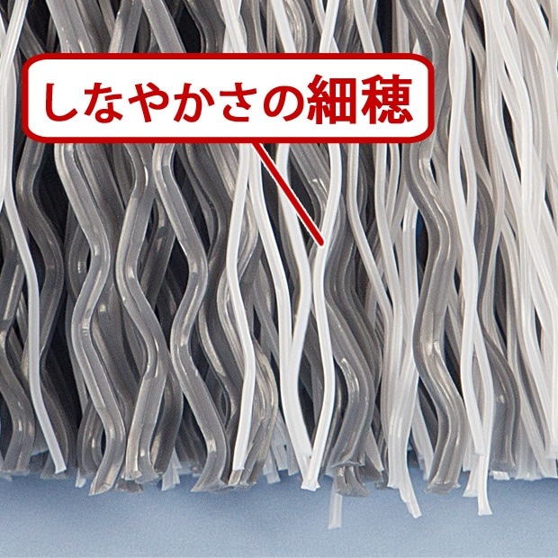【ほぼ帯付き】もやしもん ＋短編集 ほぼ帯付き】もやしもん ＋短編集 prdct_img_25642.jpg