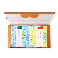 オンラインお試しセット夏限定