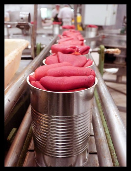 �ԥߥ���ȡ��ԥ������� ���ڥ����֥ԡ��ޥ��ú�Ƥ�390g