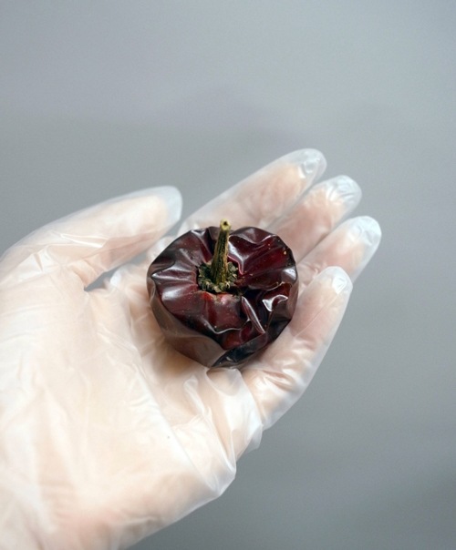 �˥�饻���� 100g �ʴ��祹�ڥ���ѥץꥫ��