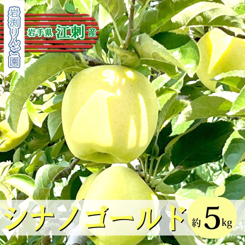 【今期の受付は終了いたしました】　岩渕りんご園　シナノゴールド　5kg　江刺産りんご　【12月上～中旬順次発送】