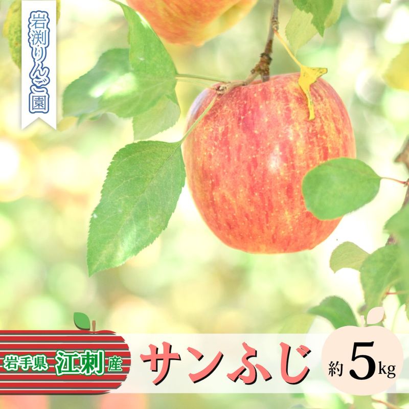 【今期の受付は終了いたしました】　岩渕りんご園　サンふじ　5kg　江刺産りんご　【12月上～中旬順次発送】