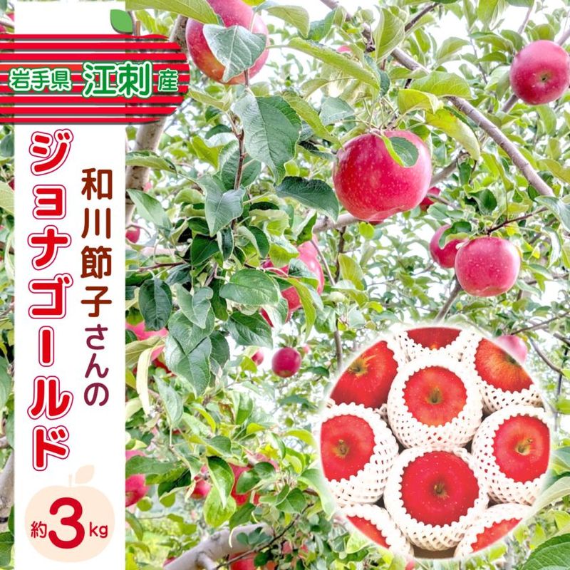 【今期の受付は終了いたしました】　和川節子さんのジョナゴールド　3kg　江刺産りんご　【12月上～中旬順次発送】