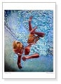 The Plunge（ジェイソン スティルマン）|ポスター