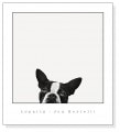 Loyalty（ジョン ベルテッリ）|ポスター