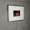 額装品/Bjork（ビョーク）/Volta 2007年（ビョーク）|ポスター
