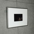 額装品/Bjork（ビョーク）/Black Lake2015年（ビョーク）|ポスター