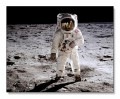 Apollo 11 Astronaut Buzz Aldrin on the Moon July 20 1969（フォトグラファー）|ポスター