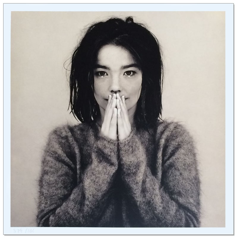 Bjork（ビョーク）/Debut 1993年(限定1000枚/ナンバリング入り）（ビョーク）