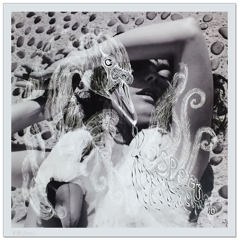 Bjork（ビョーク）/Vespertine 2001年(限定1000枚/ナンバリング入り）（ビョーク）