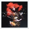 Bjork（ビョーク）/Biophilla 2011年(限定1000枚/ナンバリング入り）（ビョーク）|ポスター
