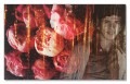 VISIONAIRE（ヴィジョネアー）Gucci/グッチ（マリオ テスティーノ）|ポスター