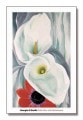 Calla Lilies with Red Anemone 1928（ジョージア オキーフ）|ポスター