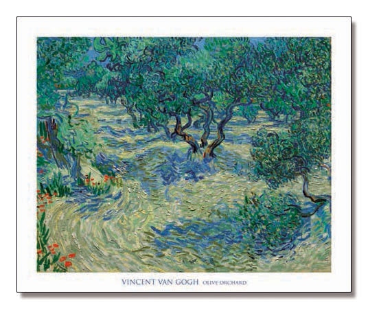 Olive Orchard 1889（フィンセント ファン ゴッホ）