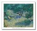 Olive Orchard 1889（フィンセント ファン ゴッホ）|ポスター