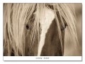 The Blonde（リサ ダーリング）|ポスター