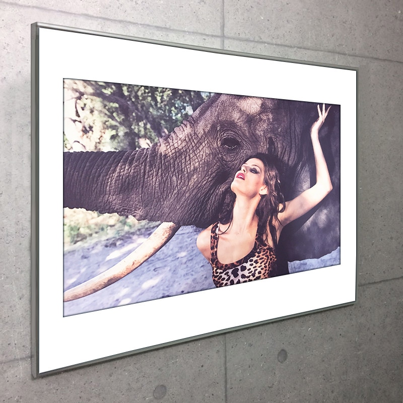 マット額装品/Pirelli collage 2009 no8（ピーター ビアード）