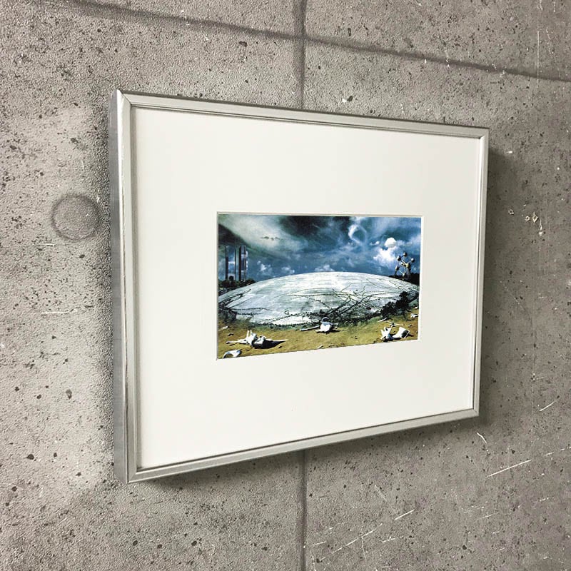 限定マット額装品/View of Moon/ジュリアン・オピー