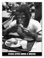 Even Apes Need a Break（アーティスト不明）|ポスター