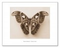 Attacus Atlas（ラクエル エドワーズ）|ポスター