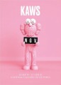 KAWS BFF PINK NGV（カウズ）|ポスター