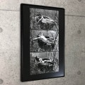 限定額装品/Helmut Newton/PIRELLI|額装ポスター