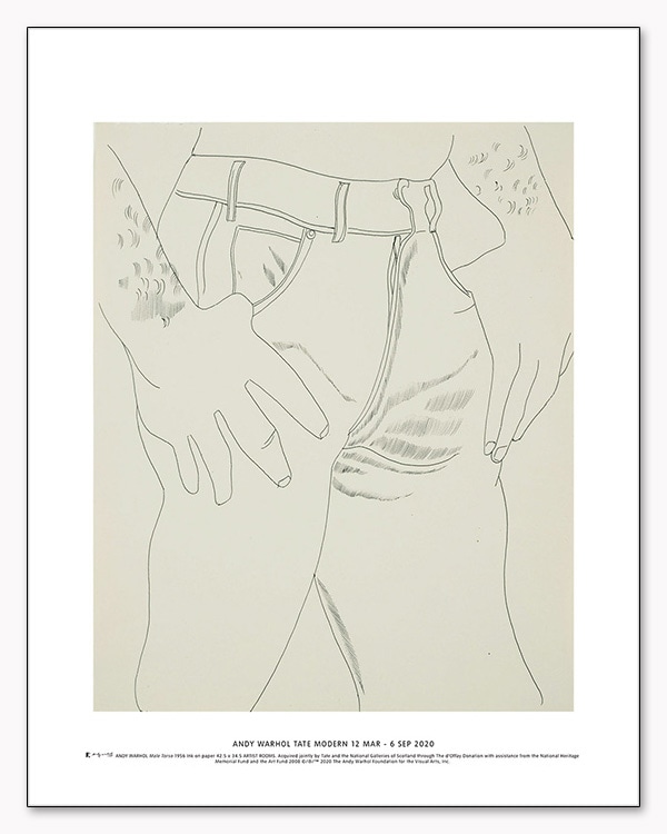 Male Torso 1956 exhibition（アンディ ウォーホル）