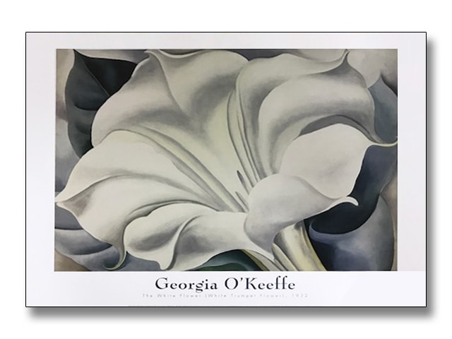 The White Flower（ジョージア オキーフ）