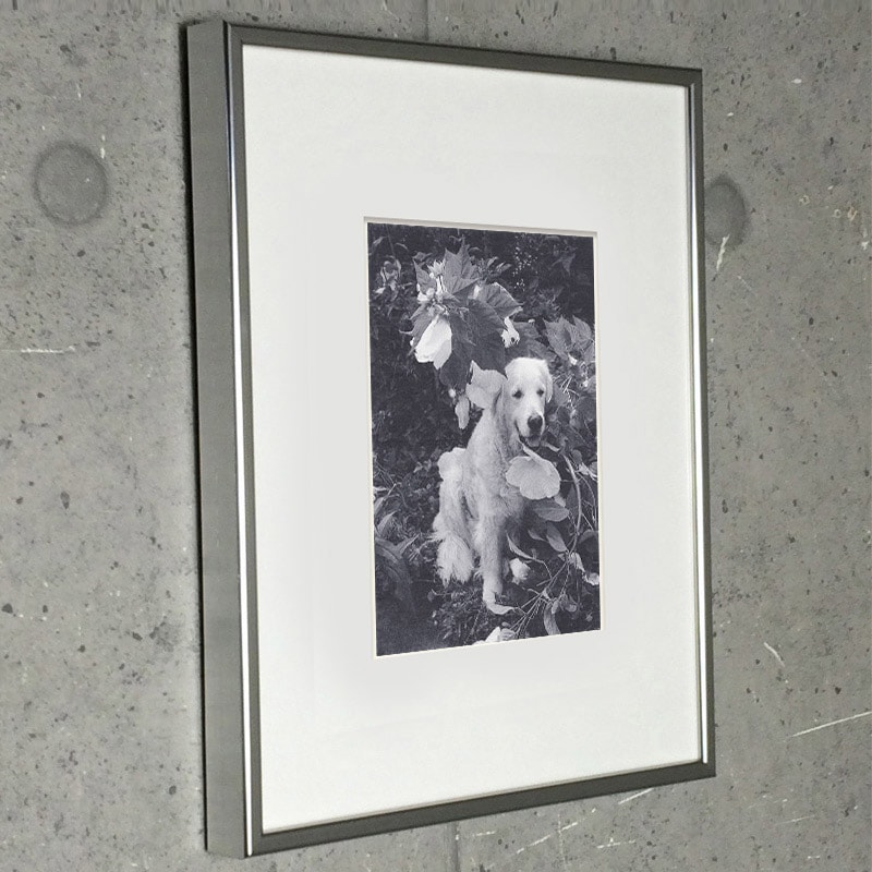 額装品/ブルースウェーバー/Dream Every day we honor him 限定非売品（ブルース ウェーバー）