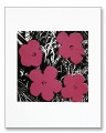 Flowers 1965 Hot Pink（アンディ ウォーホル）|ポスター