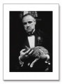 The Godfather (Brando & Cat)（作者不明）|ポスター