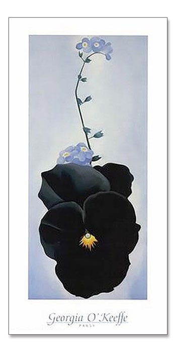Pansy 1926（ジョージア オキーフ）