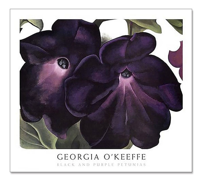 Black and Purple Petunias（）