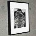 額装済マット作品/森山 大道/Untitled 2000s|ポスター