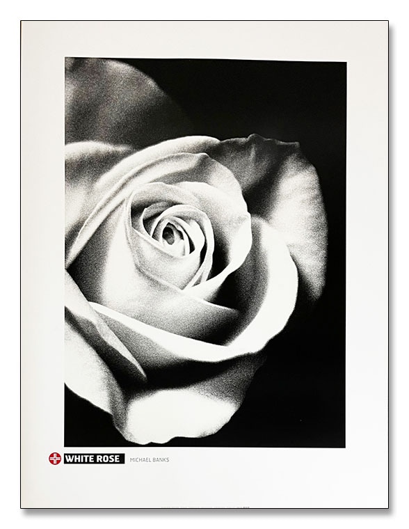 White Rose（マイケル バンクス）