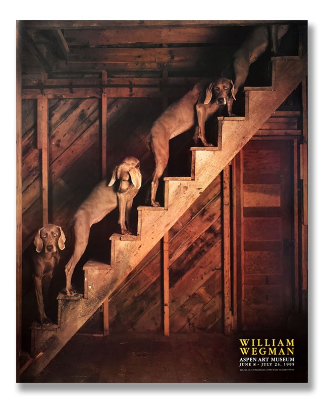 Baun Stairs 1994（ウェグマン）