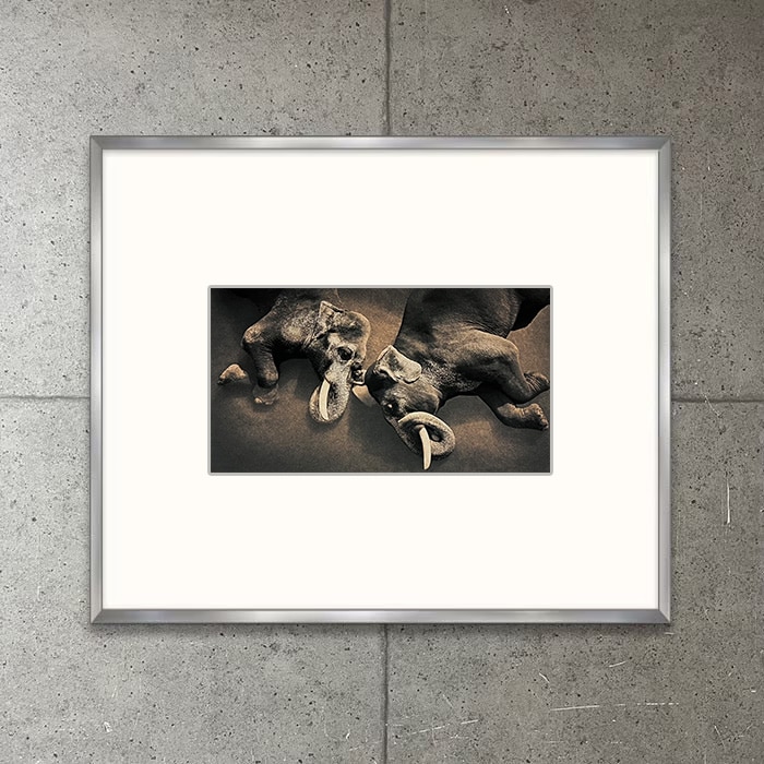 category | ポスター販売のアズポスター｜ポスター、アートポスター