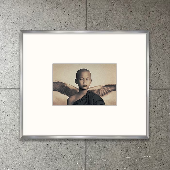 限定マット額装品Ashes and snow Winged Monk（グレゴリー コルベール）