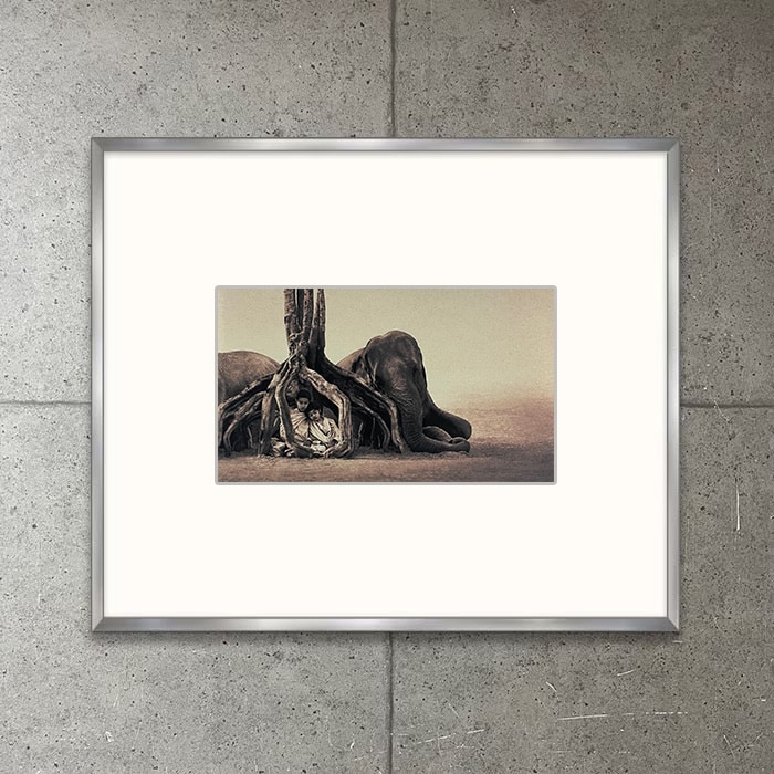 category | ポスター販売のアズポスター｜ポスター、アートポスター