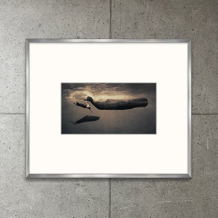 限定マット額装品Ashes and snow Gregory Colbert with Whale（グレゴリー コルベール）
