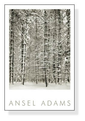 額装品/Pine Forest in /エンボスマーク/アンセルアダムス category | ポスター販売のアズポスター｜ポスター、アートポスター