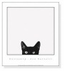 Curiosity（ジョン ベルテッリ）|ポスター