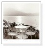 Caffe Varenna（アラン ブラウステイン）|ポスター