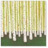 Birch Forest（リサ コンドン）|ポスター