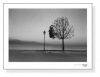 Lutry、 Lac Leman（クリスチャン コワニー）|ポスター